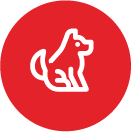 Bürohund